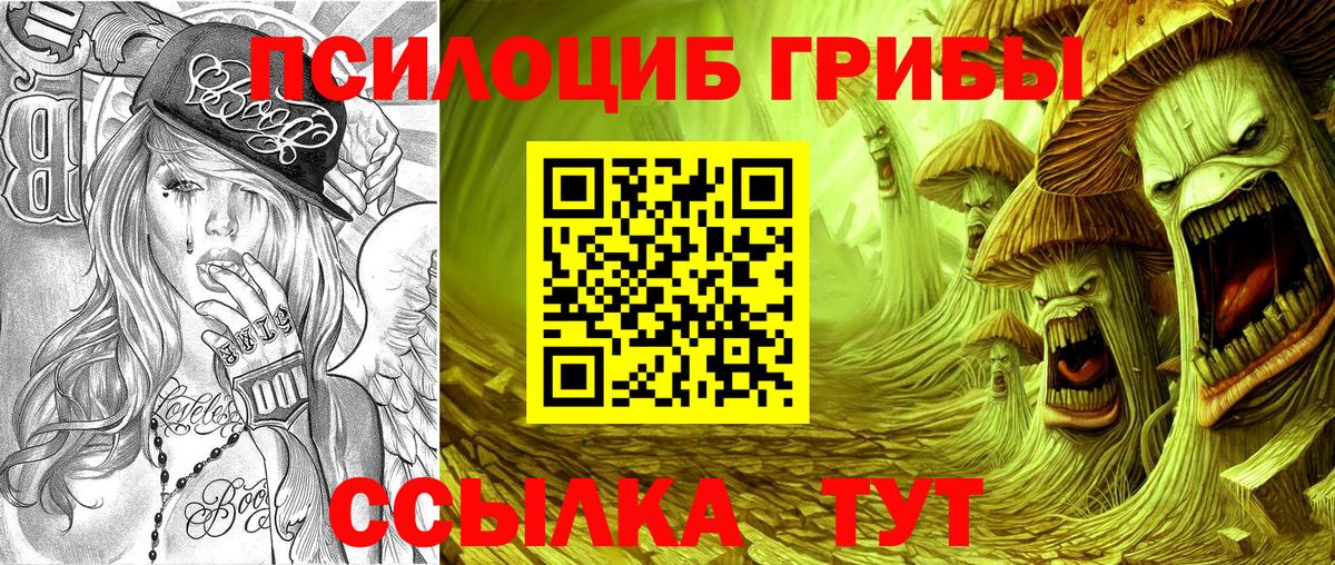 Псилоцибиновые грибы прущие грибы  Вход с VPN  Вольск 